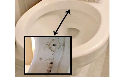 mineral buildup in toilet
